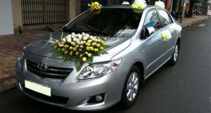 Cho thuê xe cưới Toyota Altis